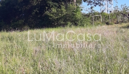 Terreno edificabile_Sambuceto_lumacasa_099V (6)